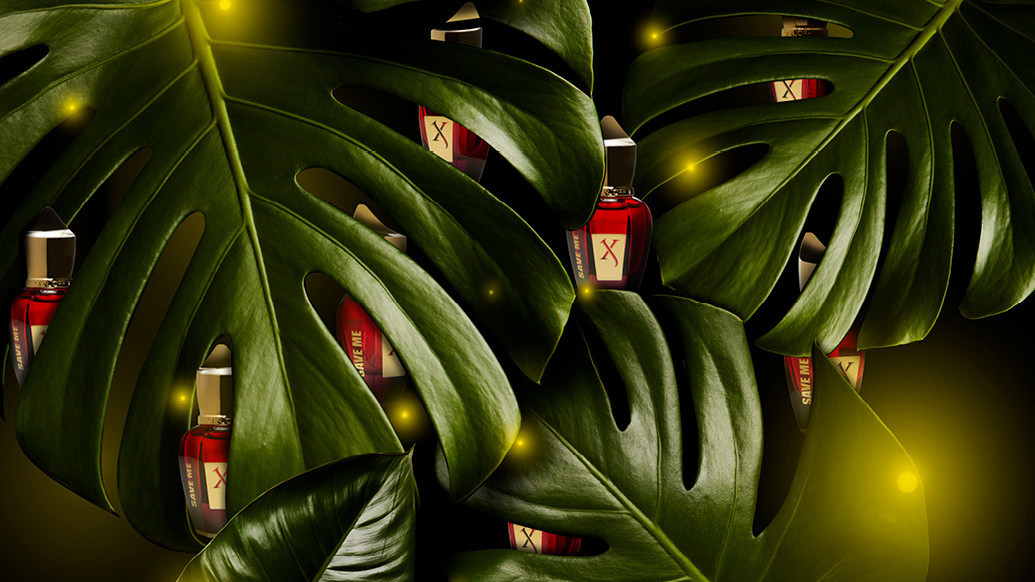 Spray to Help Xerjoff - Italian Luxury Perfume
